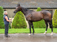 WG031025-64 - Jaramillo